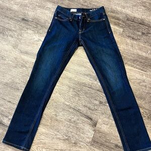 Gap 1969 Real Straight Jeans